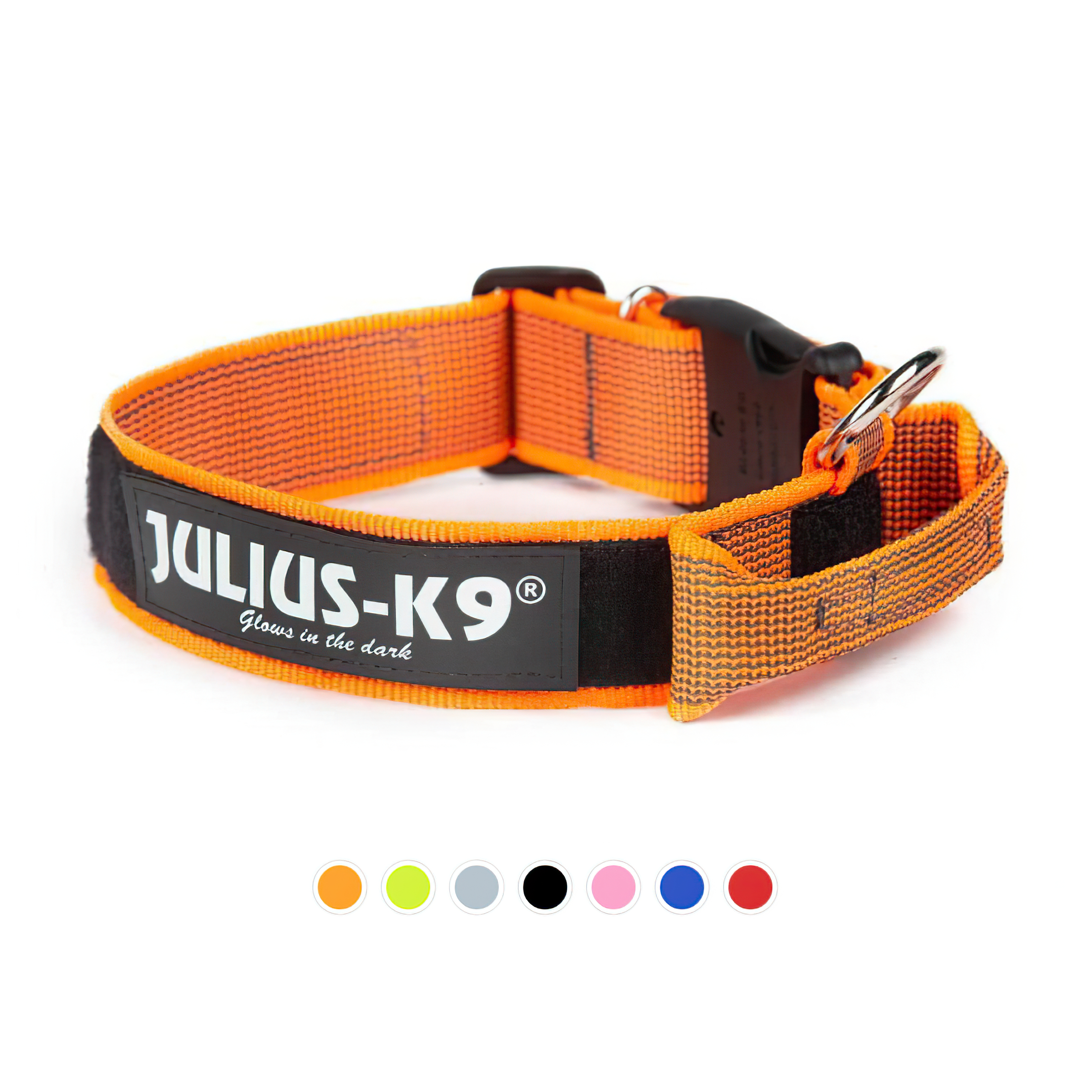 Julius-K9 - el millor collar amb nansa.