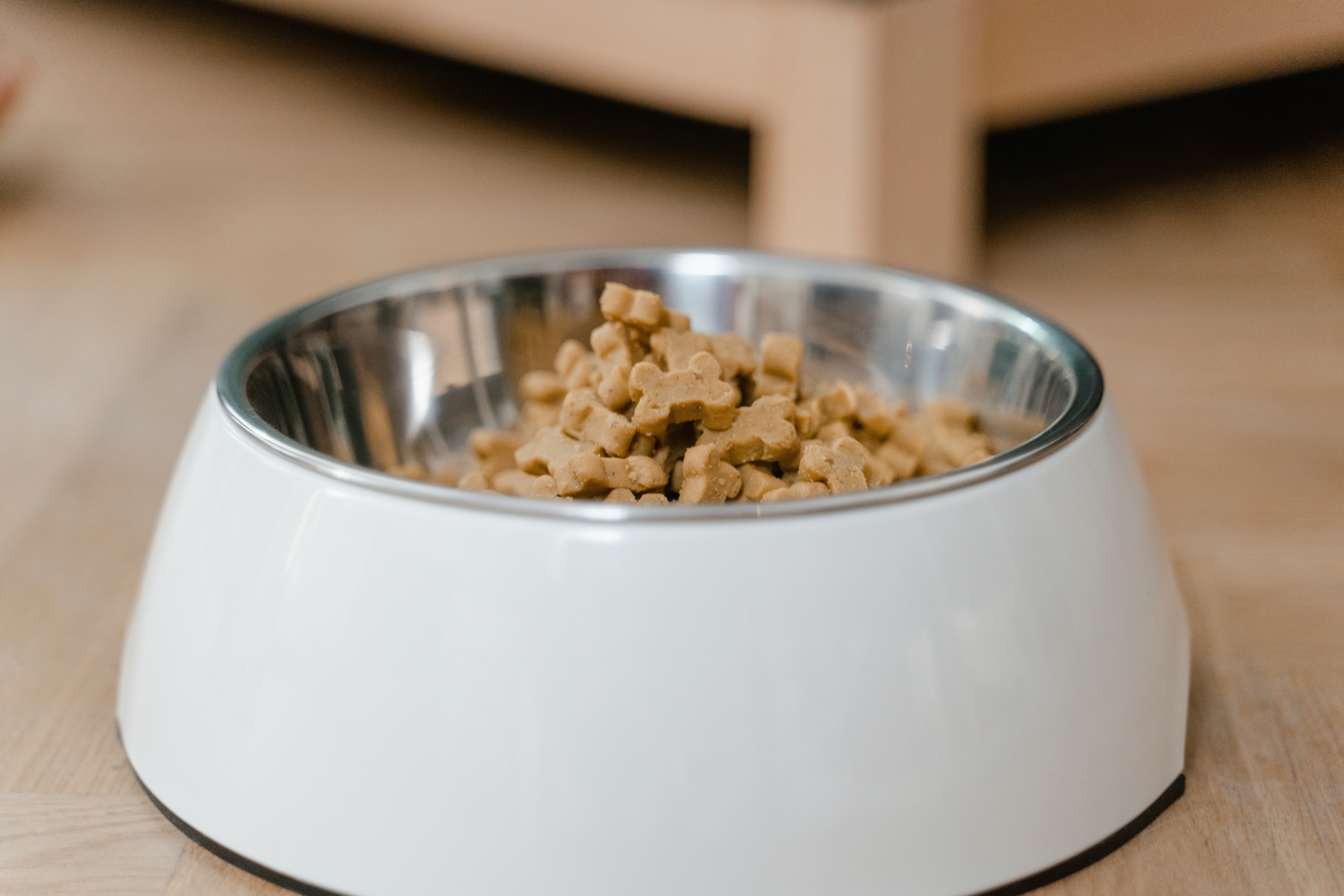 El pinso per a gossos és la combinació adequada de nutrients essencials.